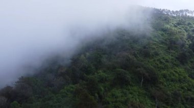 Sabahları sisli tropikal ormanın havadan görünüşü. Tayland 'daki güzel tropikal dağ ormanlarının insansız hava aracı manzarası. Doğal manzara arka planı.