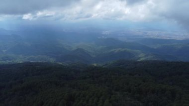 Sabahları sisli tropikal ormanın havadan görünüşü. Tayland 'daki güzel tropikal dağ ormanlarının insansız hava aracı manzarası. Doğal manzara arka planı.