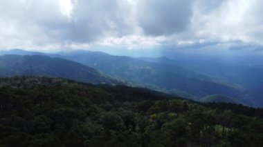 Sabahları sisli tropikal ormanın havadan görünüşü. Tayland 'daki güzel tropikal dağ ormanlarının insansız hava aracı manzarası. Doğal manzara arka planı.