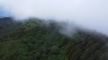 Sabahları sisli tropikal ormanın havadan görünüşü. Tayland 'daki güzel tropikal dağ ormanlarının insansız hava aracı manzarası. Doğal manzara arka planı.