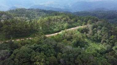 Dağ yolunun insansız hava aracı ve ormanda parlayan güneş manzarası. Tayland 'da yemyeşil güzel bir ormandaki tepenin en üst manzarası. Doğal manzara arka planı.