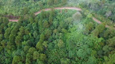 Dağ yolunun insansız hava aracı ve ormanda parlayan güneş manzarası. Tayland 'da yemyeşil güzel bir ormandaki tepenin en üst manzarası. Doğal manzara arka planı.