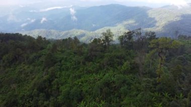 Sabahları sisli tropikal ormanın havadan görünüşü. Tayland 'daki güzel tropikal dağ ormanlarının insansız hava aracı manzarası. Doğal manzara arka planı.