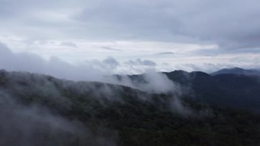 Sabahları sisli tropikal ormanın havadan görünüşü. Tayland 'daki güzel tropikal dağ ormanlarının insansız hava aracı manzarası. Doğal manzara arka planı.