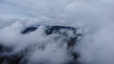 Sabahları sisli tropikal ormanın havadan görünüşü. Tayland 'daki güzel tropikal dağ ormanlarının insansız hava aracı manzarası. Doğal manzara arka planı.