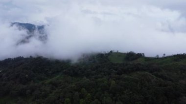 Sabahları sisli tropikal ormanın havadan görünüşü. Tayland 'daki güzel tropikal dağ ormanlarının insansız hava aracı manzarası. Doğal manzara arka planı.