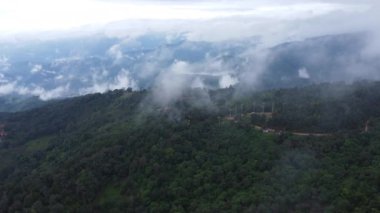 Sabahları sisli tropikal ormanın havadan görünüşü. Tayland 'daki güzel tropikal dağ ormanlarının insansız hava aracı manzarası. Doğal manzara arka planı.