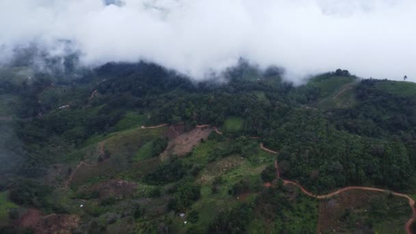 晨雾弥漫的热带森林的空中景观 泰国冬季美丽的高山热带森林的无人机俯瞰 自然景观背景 — 图库视频影像