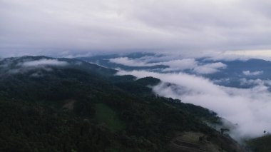 Sabahları sisli tropikal ormanın havadan görünüşü. Tayland 'daki güzel tropikal dağ ormanlarının insansız hava aracı manzarası. Doğal manzara arka planı.