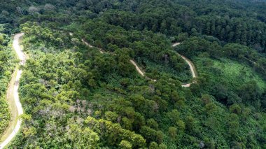 Dağ yolunun insansız hava aracı ve ormanda parlayan güneş manzarası. Tayland 'da yemyeşil güzel bir ormandaki tepenin en üst manzarası. Doğal manzara arka planı.