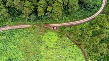 Dağ yolunun insansız hava aracı ve ormanda parlayan güneş manzarası. Tayland 'da yemyeşil güzel bir ormandaki tepenin en üst manzarası. Doğal manzara arka planı.