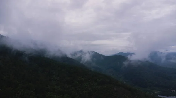 Вид Воздуха Тропический Лес Туманом Утрам Вид Сверху Дрона Красивого — стоковое фото