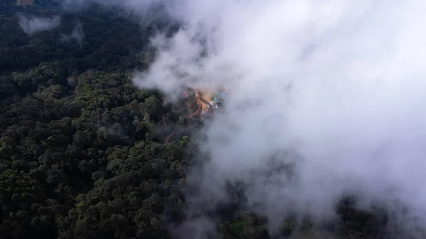 Vista Aérea Del Bosque Tropical Con Niebla Mañana Vista Superior — Foto de Stock