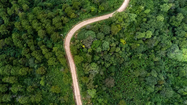 Αεροφωτογραφία Από Drone Της Ορεινής Οδού Ήλιο Λάμπει Στο Δάσος — Φωτογραφία Αρχείου