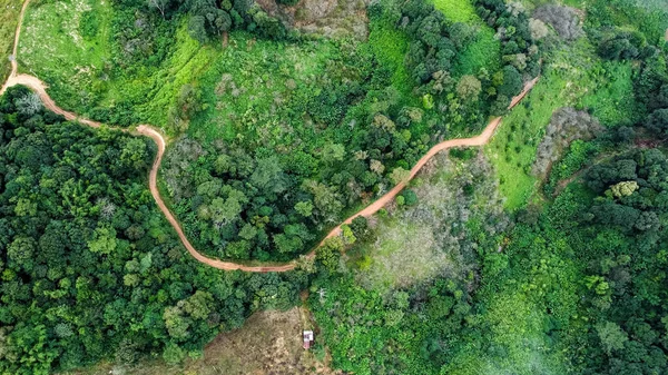Dağ yolunun insansız hava aracı ve ormanda parlayan güneş manzarası. Tayland 'da yemyeşil güzel bir ormandaki tepenin en üst manzarası. Doğal manzara arka planı.