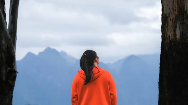 穏やかな山の頂上に立つ若い女性の背面ビューと朝に山の上で手を上げる 冬には山を眺めながら自然の美しさを楽しむセーターを着た女性 — ストック写真