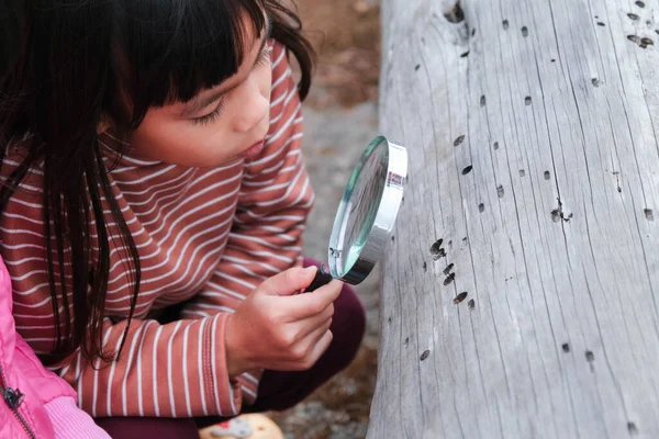 虫眼鏡の屋外で自然を探索するかわいい女の子 虫眼鏡で森の中で遊ぶ子供たち 教育と発見の概念 — ストック写真