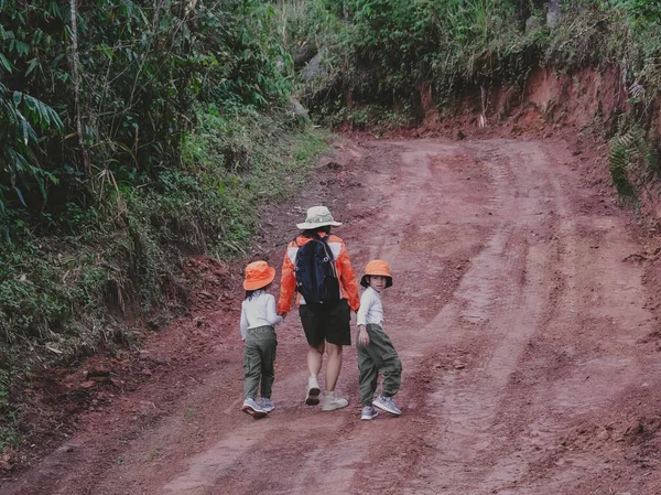一个快乐的年轻女人和她的女儿一起在山上进行野外旅行 一家人在森林里徒步旅行 父母教孩子有关自然和植物的知识 — 图库照片