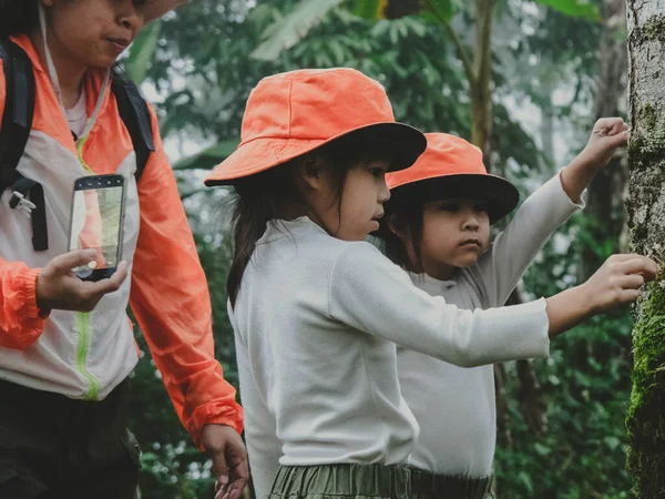 Kızıyla birlikte dağlarda geziye çıkan mutlu genç bir kadın. Ormanda yürüyüş macerasına çıkmış bir aile. Ebeveynler çocuklarına doğa ve bitkileri öğretir..