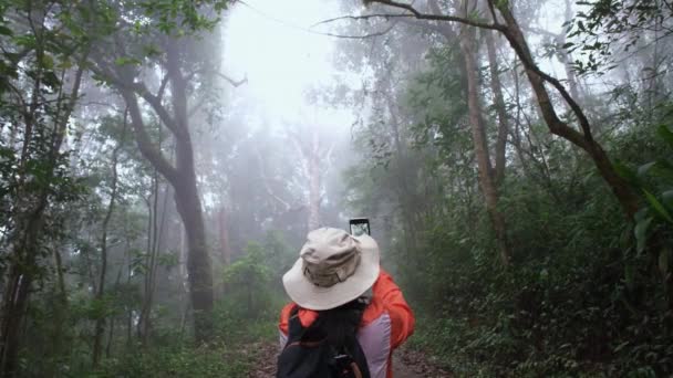 Kobieta Ekolog Pomocą Telefonu Badania Roślin Lesie Kobieta Naukowiec Środowiskowy — Wideo stockowe