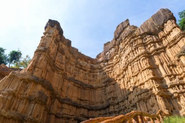 Sırt çantalı bir kadın jeolog ormanda doğa izlerini araştırıyor ve kaya ya da çakıl analizi yapıyor. Araştırmacılar biyolojik materyal örnekleri topluyorlar. Çevre ve ekoloji araştırmaları.
