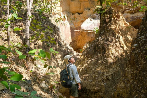 Female geologist with backpack exploring nature trail in forest and analyzing rock or gravel. Researchers collect samples of biological materials. Environmental and ecology research.