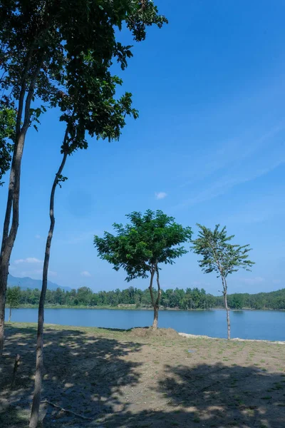 Trees grow on the banks of the river against the background of the blue sky. Scenic rural landscape.