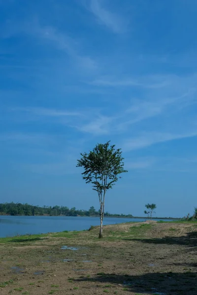 Trees grow on the banks of the river against the background of the blue sky. Scenic rural landscape.