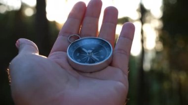 Doğal çam ormanı arka planında pusula elinde. Orman manzarasında el ele tutuşan pusula. Yaz dağlarında pusula arayan genç bir gezgin..