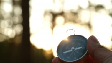 Doğal çam ormanı arka planında pusula elinde. Orman manzarasında el ele tutuşan pusula. Yaz dağlarında pusula arayan genç bir gezgin..