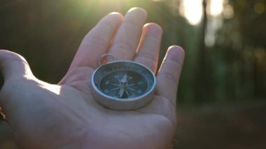 Doğal çam ormanı arka planında pusula elinde. Orman manzarasında el ele tutuşan pusula. Yaz dağlarında pusula arayan genç bir gezgin..