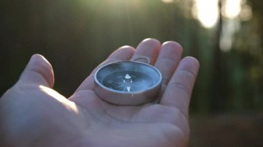 Doğal çam ormanı arka planında pusula elinde. Orman manzarasında el ele tutuşan pusula. Yaz dağlarında pusula arayan genç bir gezgin..