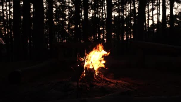 年轻的徒步旅行者点燃了山火 夜间在篝火边取暖 旅行者在帐篷附近的营地点火 同时在大自然中呆着 旅行和生活方式概念 — 图库视频影像