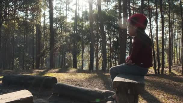 Adorable Petite Fille Vêtements Chauds Chapeau Tricot Rouge Assoit Sur — Video
