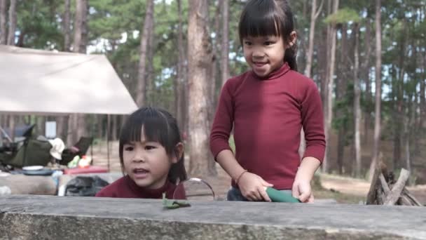 Zwei Süße Schwestern Erkunden Und Beobachten Mit Einer Lupe Wilde — Stockvideo