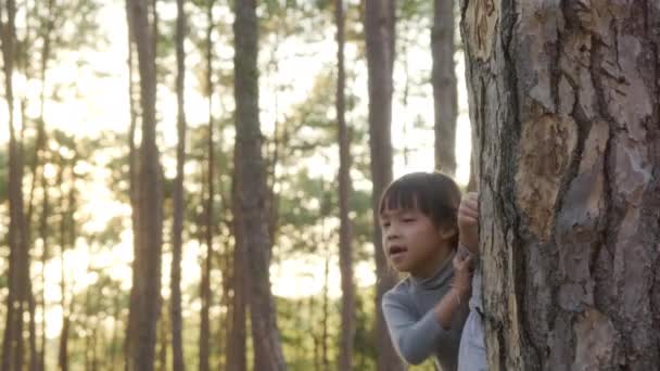 Vicces Nővérek Kukucskálnak Mögül Winter Parkban Aranyos Mosolygós Gyerek Bújócskázik — Stock videók