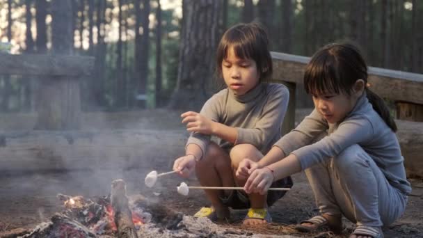 可爱的妹妹们在篝火上烤棉花糖 孩子们在篝火边玩得很开心 和孩子们一起在松林里露营在大自然中度假的快乐家庭 — 图库视频影像