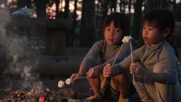 Γλυκές Μικρές Αδερφές Ψήνουν Ζαχαρωτά Στη Φωτιά Παιδιά Διασκεδάζουν Στη — Αρχείο Βίντεο