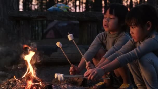 Cute Little Sisters Roasting Marshmallows Campfire Children Having Fun Camp — Stock Video