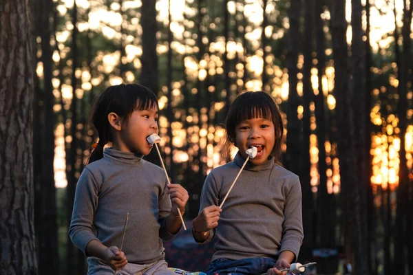 Cute little sisters roasting marshmallows on campfire. Children having fun at camp fire. Camping with children in winter pine forest. Happy family on vacation in nature.