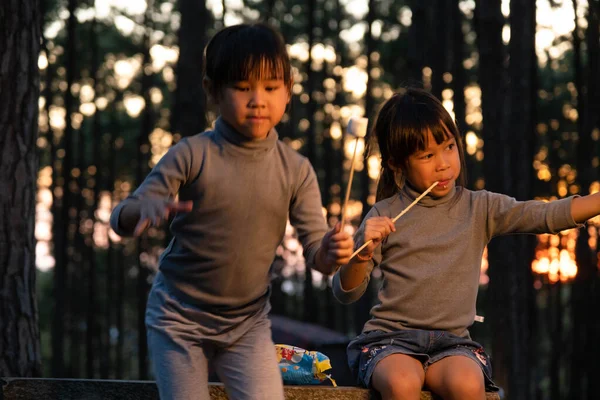 Cute little sisters roasting marshmallows on campfire. Children having fun at camp fire. Camping with children in winter pine forest. Happy family on vacation in nature.