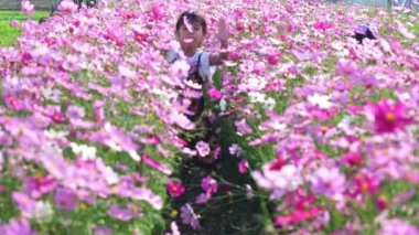 Kozmos çiçeği tarlasında oynayan mutlu Asyalı küçük kız. İki güzel kız kardeş kozmos çiçek tarlalarında koşuşturuyor ve yaz tatilinde birlikte vakit geçiriyorlar..