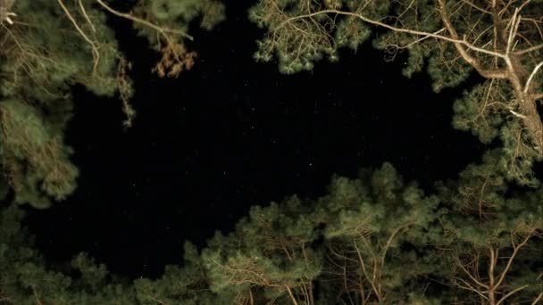 キラキラと輝く星の動きを背景にした夜空のタイムラプス 木々の間に見える冬の夜空には星の星座の動きと回転する星 — ストック動画