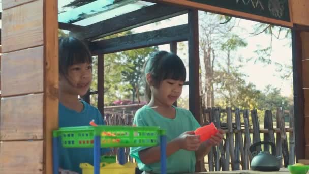 幸せな姉妹は 母親と屋外の遊び場で食べ物や木製の食料品のおもちゃで遊んでいます 園内では可愛いアジア系の女の子がフルーツジュースを売っている 休暇で一緒に過ごす家族 — ストック動画