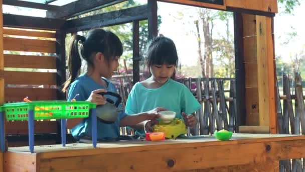 Happy Sisters Play Food Wooden Grocery Toys Outdoor Playground Her — Stock video