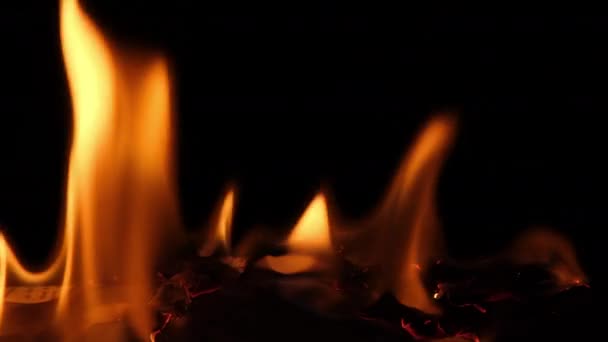 Close Burning Paper Fire Element Isolated Black Background Flame Stream — 图库视频影像