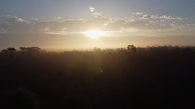 Ormanla kaplı sisli tepelerin hava manzarası. Gün doğumunda dağlarda güzel bir manzara. Ormandaki sisli dağda renkli bir gün doğumu. Şafak vakti dağlarda.
