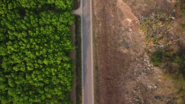 Vista Aérea Camino Que Atraviesa Frondoso Bosque Otro Lado Hay — Vídeos de Stock