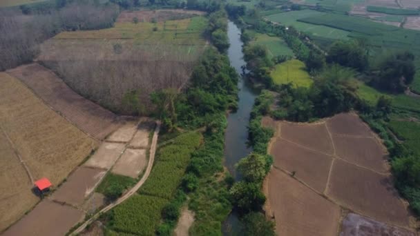 田園地帯の田んぼや農地を流れる川の空中風景 農村部の農業のための灌漑運河のトップビュー 自給経済の概念 — ストック動画