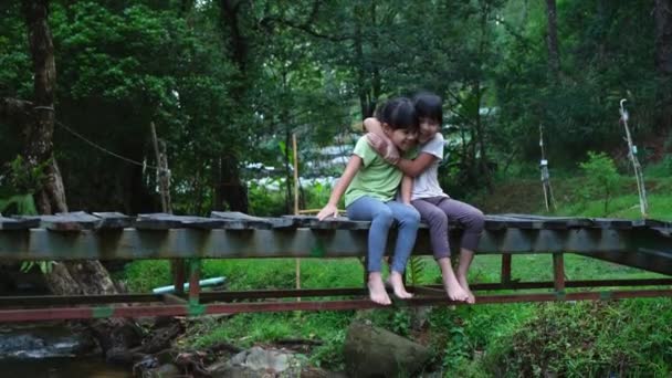 Duas Irmãzinhas Brigando Chorando Sentadas Juntas Uma Ponte Madeira Irmãs — Vídeo de Stock